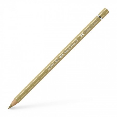 Albrecht Dürer Watercolour pencil gold